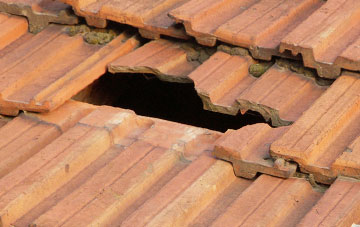 roof repair Chedgrave, Norfolk